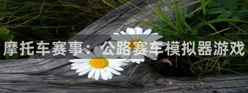 长征娱乐Ii：摩托车赛事：公路赛车模拟器游戏