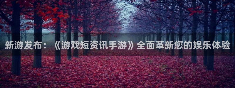 长征娱乐平台登录线路：新游发布：《游戏短资讯手游》全面革新您