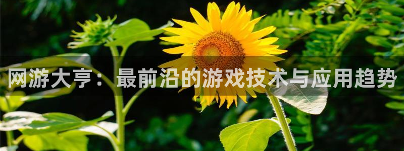 长征娱乐Ii：网游大亨：最前沿的游戏技术与应用趋势