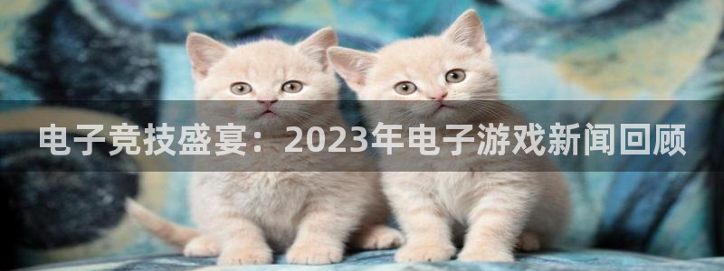 长征娱乐下载链接：电子竞技盛宴：2023年电子游戏新闻回顾