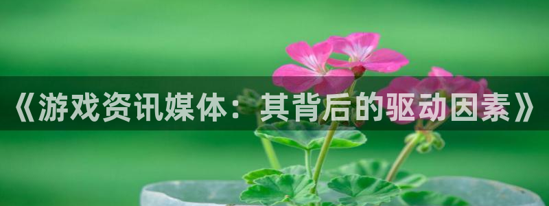 长征娱乐网页登录入口下载：《游戏资讯媒体：其背后的驱动因素》