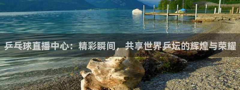 火凤直播体育官网：乒乓球直播中心：精彩瞬间，共享世界乒坛的辉煌与荣耀