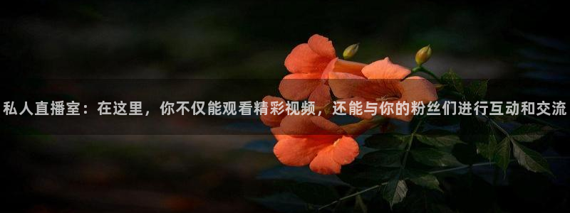 火凤足球直播免费观看：私人直播室：在这里，你不仅能观看精彩视频，还能与你的粉丝们进行互动和交流