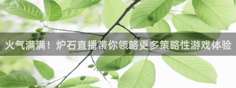 火凤直播体育直播最新赛程：火气满满！炉石直播带你领略更多策略性游戏体验