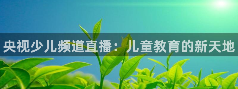 火凤足球直播免费观看全部：央视少儿频道直播：儿童教育的新天地