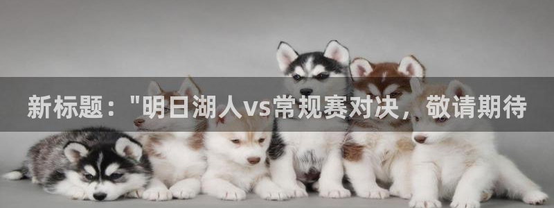 火凤直播足球：新标题：\
